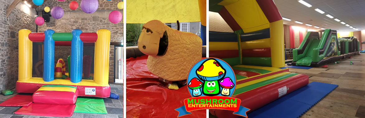 Bouncy Castle Hire in Cardigan